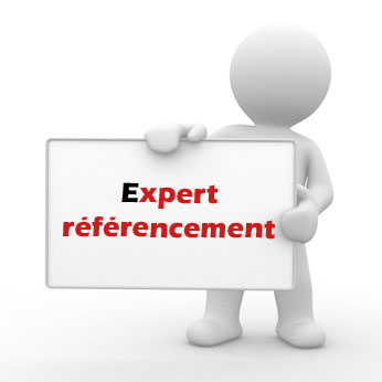 expert referencement
