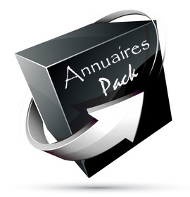 pack referencement annuaires
