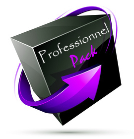 pack referencement professionnel