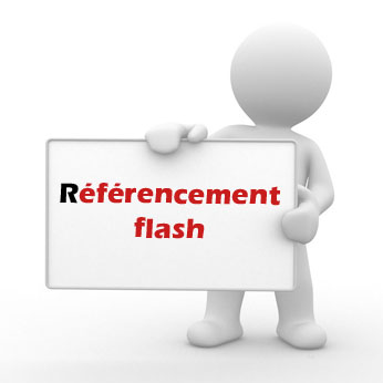 referencement flash