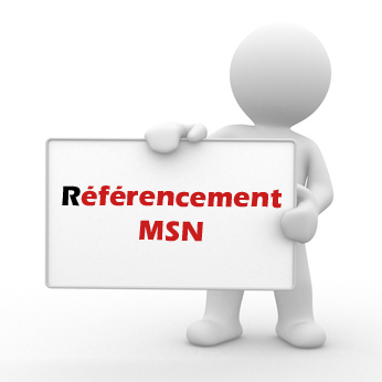 referencement msn