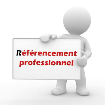 referencement professionnel
